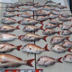 海人丸（うみんちゅまる） 釣果