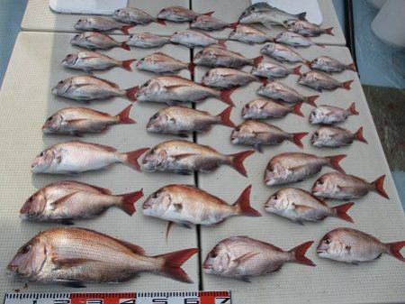 海人丸（うみんちゅまる） 釣果