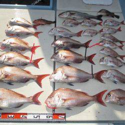 海人丸（うみんちゅまる） 釣果