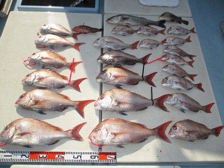 海人丸（うみんちゅまる） 釣果