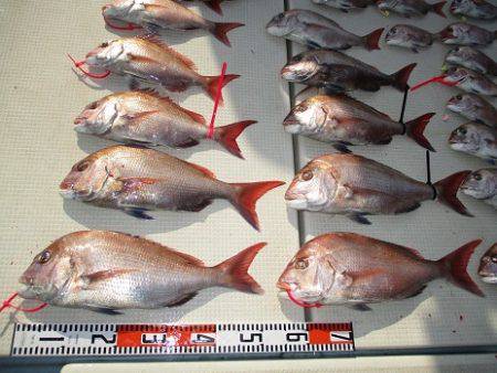 海人丸（うみんちゅまる） 釣果