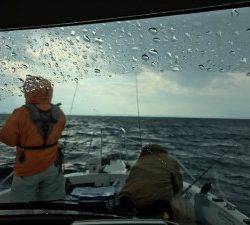 シャングリラ 釣果