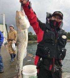 シャングリラ 釣果