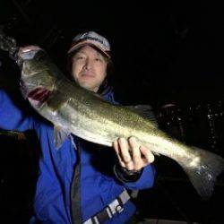 シーマジカル 釣果