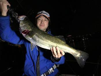 シーマジカル 釣果