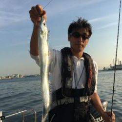 シーマジカル 釣果