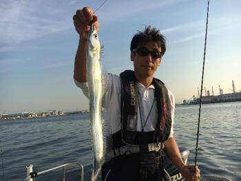 シーマジカル 釣果