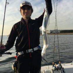 シーマジカル 釣果