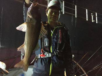 シーマジカル 釣果