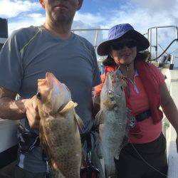 群星・むるぶし 釣果