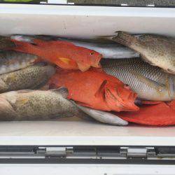 群星・むるぶし 釣果