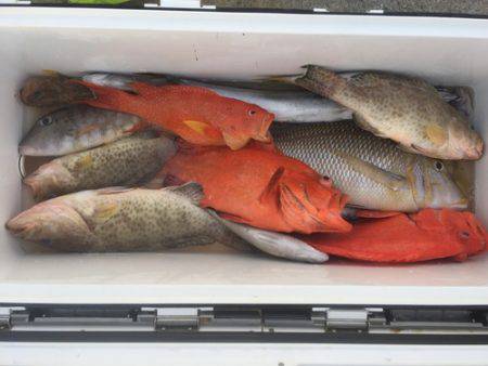 群星・むるぶし 釣果