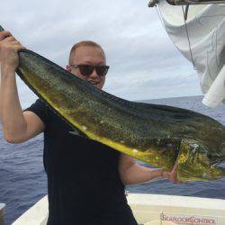 群星・むるぶし 釣果