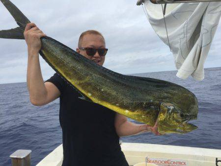 群星・むるぶし 釣果