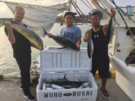 群星・むるぶし 釣果
