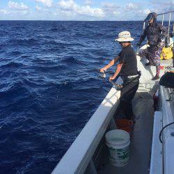 群星・むるぶし 釣果