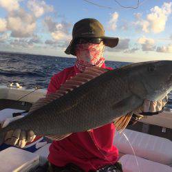 群星・むるぶし 釣果