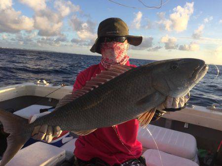 群星・むるぶし 釣果