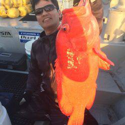 群星・むるぶし 釣果