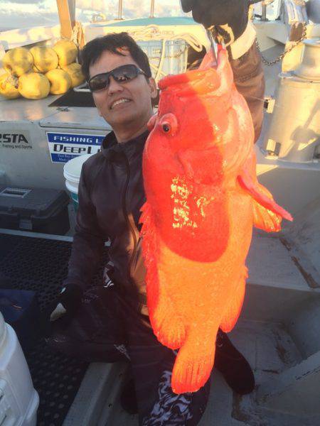 群星・むるぶし 釣果