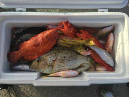 群星・むるぶし 釣果