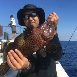 群星・むるぶし 釣果