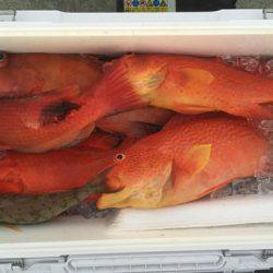 群星・むるぶし 釣果