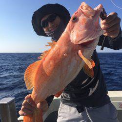 群星・むるぶし 釣果