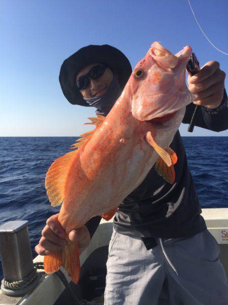 群星・むるぶし 釣果