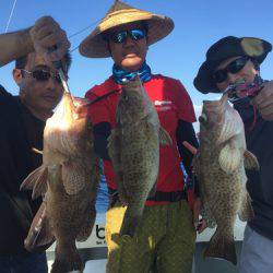 群星・むるぶし 釣果