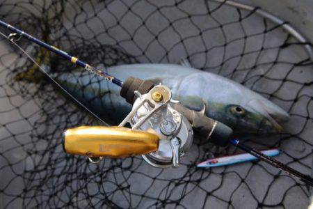 武蔵丸 釣果