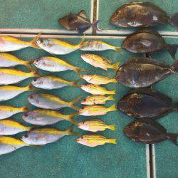 群星・むるぶし 釣果