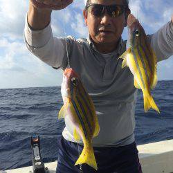 群星・むるぶし 釣果