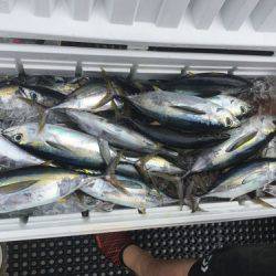 群星・むるぶし 釣果