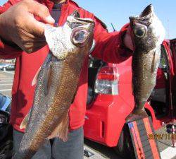 太郎丸 釣果