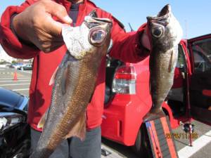 太郎丸 釣果