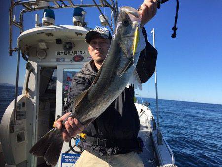 シーモンキー 釣果