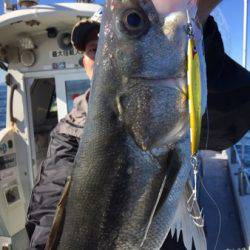 シーモンキー 釣果