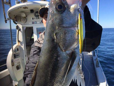 シーモンキー 釣果