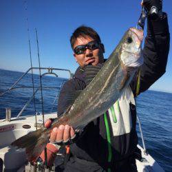 シーモンキー 釣果