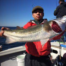 シーモンキー 釣果