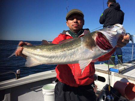 シーモンキー 釣果