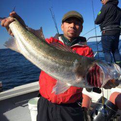 シーモンキー 釣果