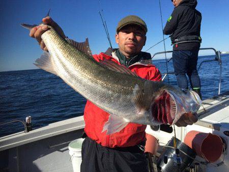 シーモンキー 釣果