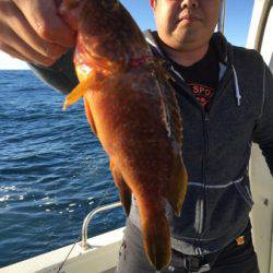 シーモンキー 釣果