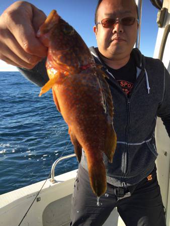 シーモンキー 釣果