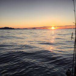 シーモンキー 釣果