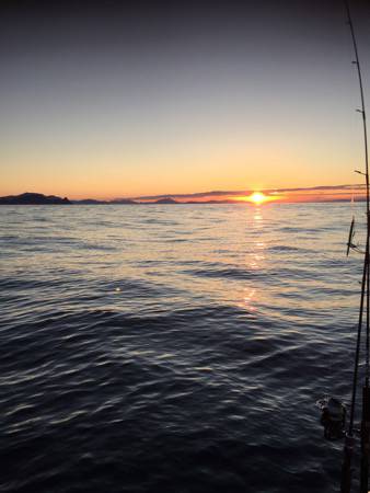 シーモンキー 釣果