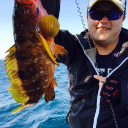 シーモンキー 釣果