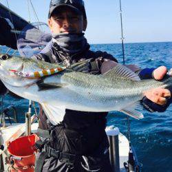 シーモンキー 釣果